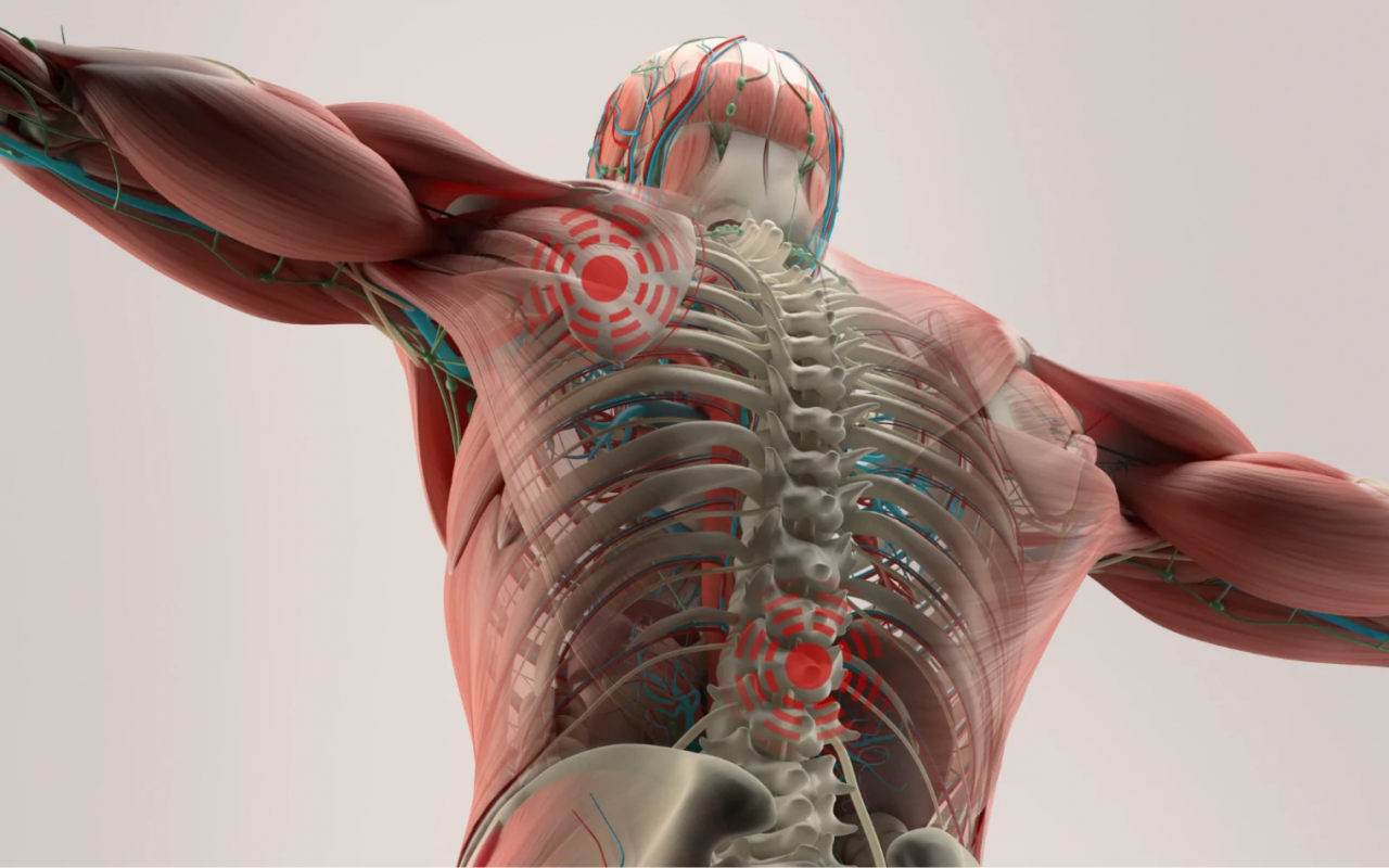 North Melbourne Osteopathy – Dr Robert McMahon